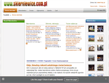 Tablet Screenshot of cku.skierniewice.com.pl